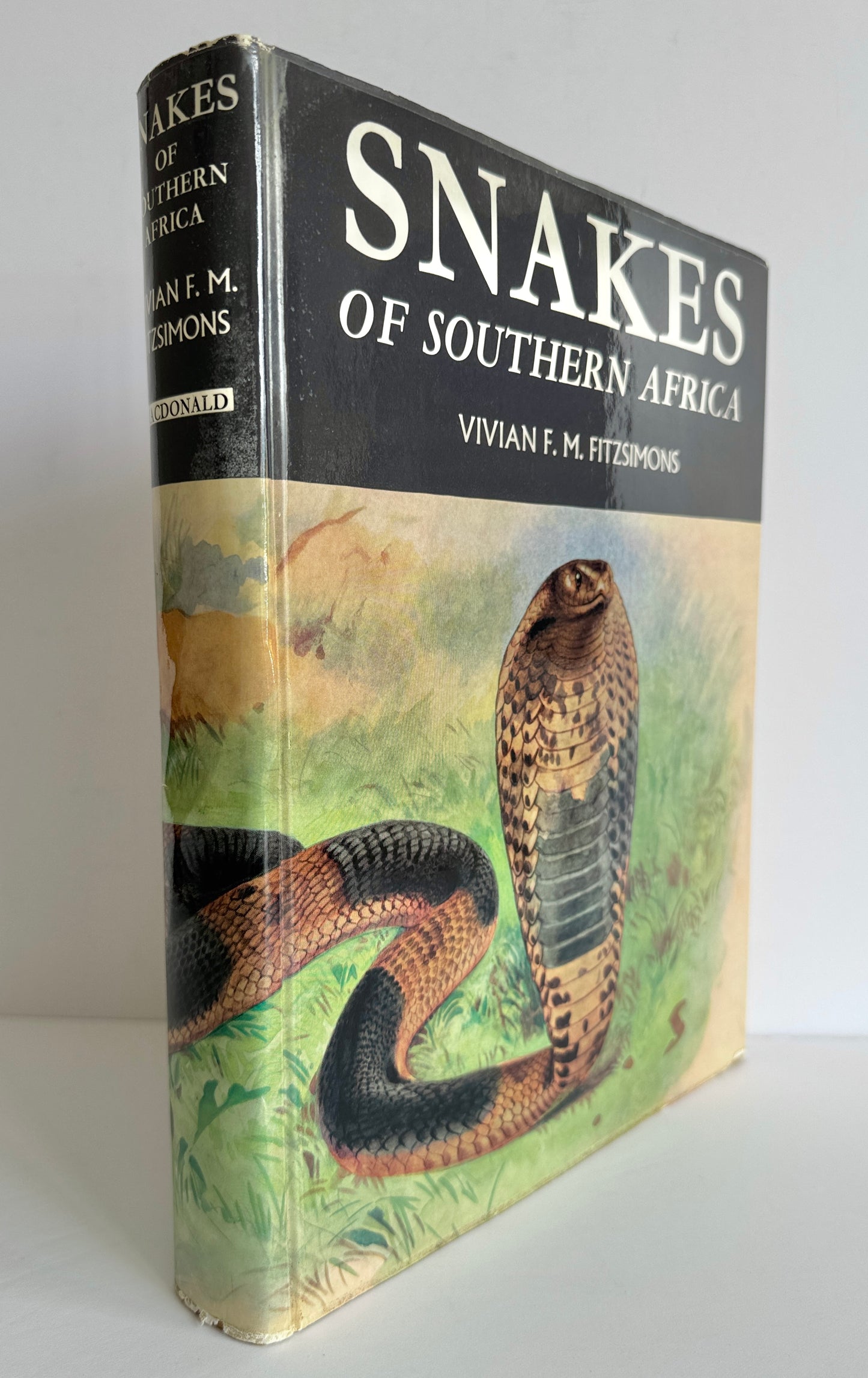 Snakes of Southern Africa