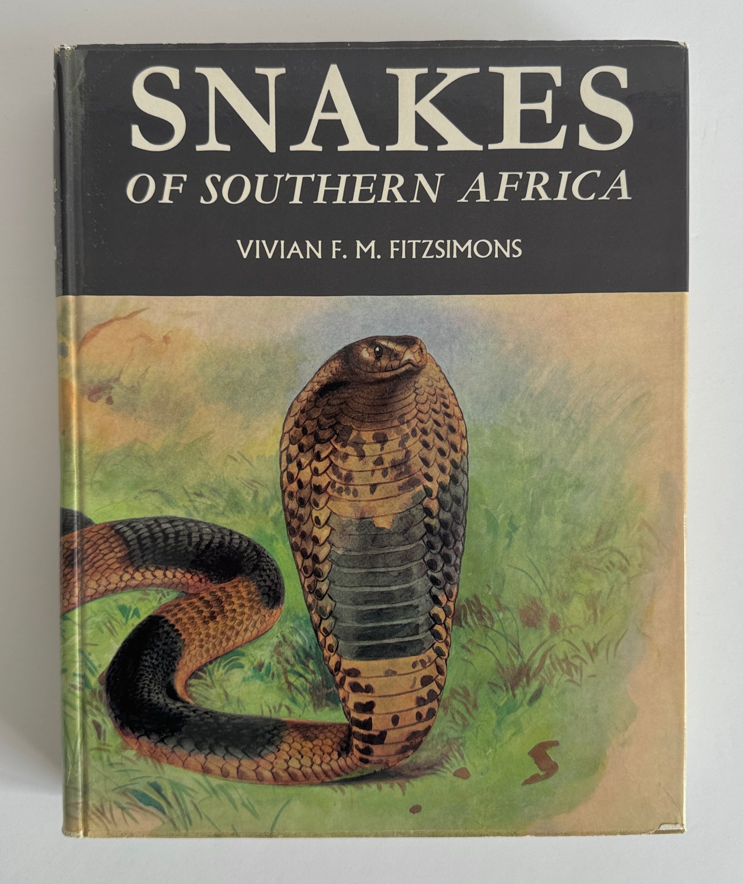 Snakes of Southern Africa