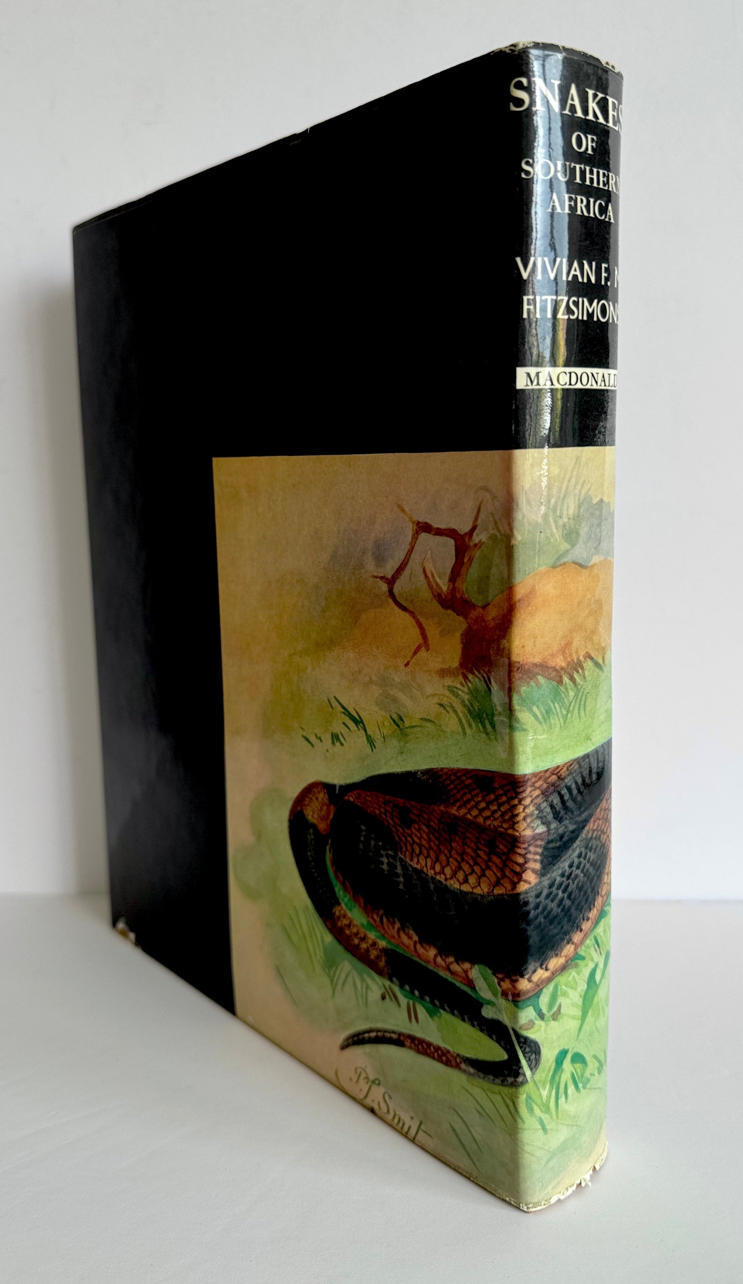 Snakes of Southern Africa