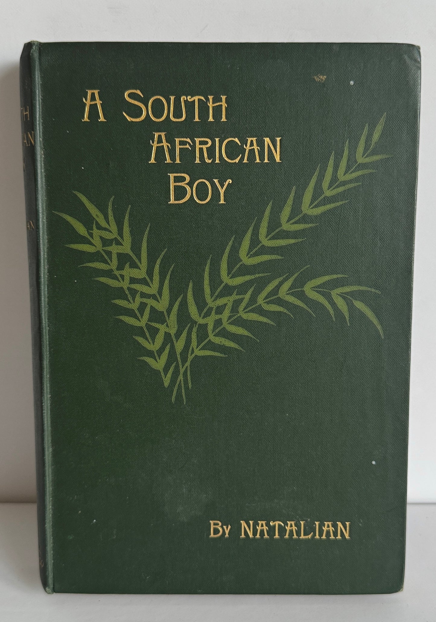 A South African Boy