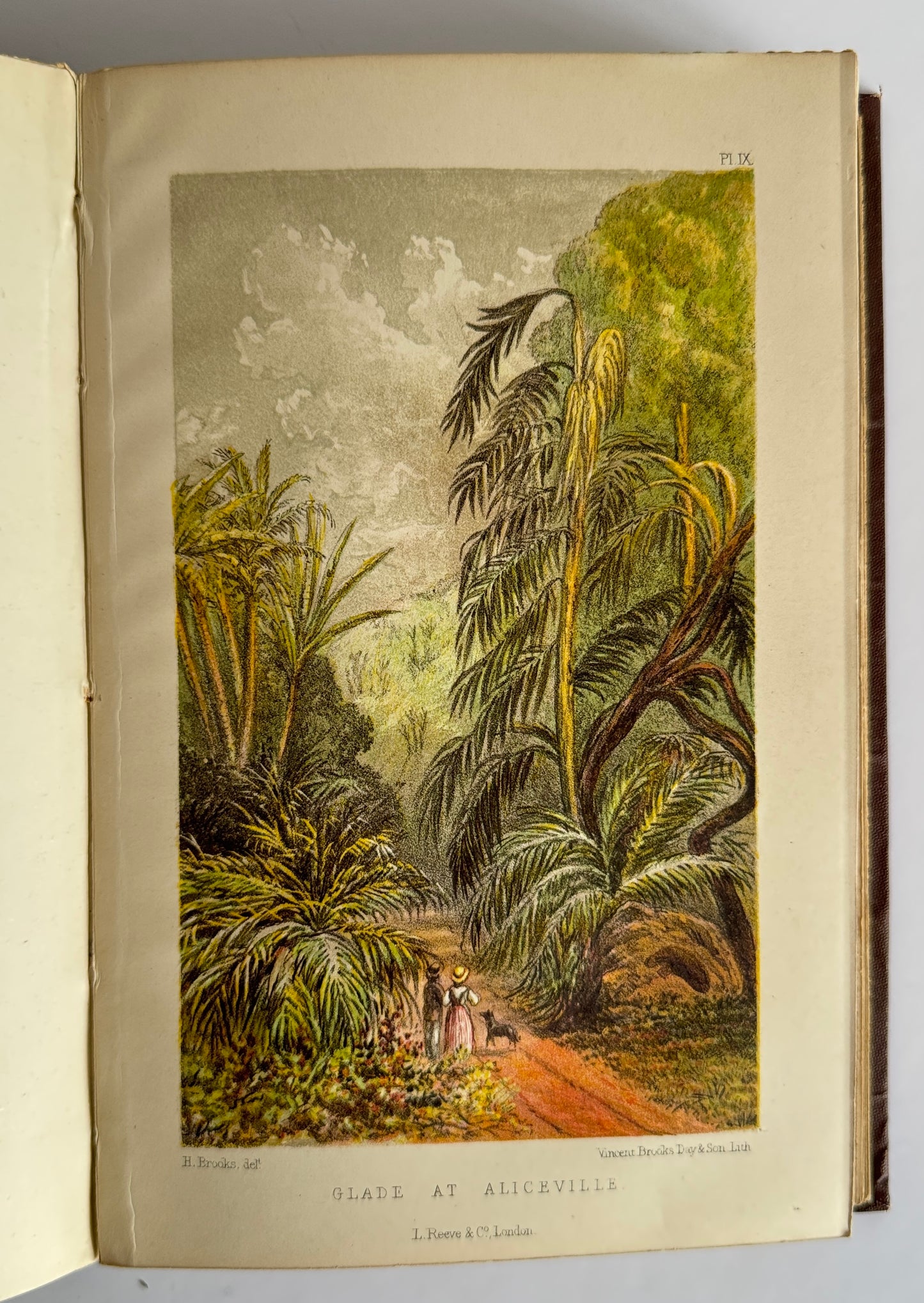 NATAL; A HISTORY AND DESCRIPTION OF THE COLONY
