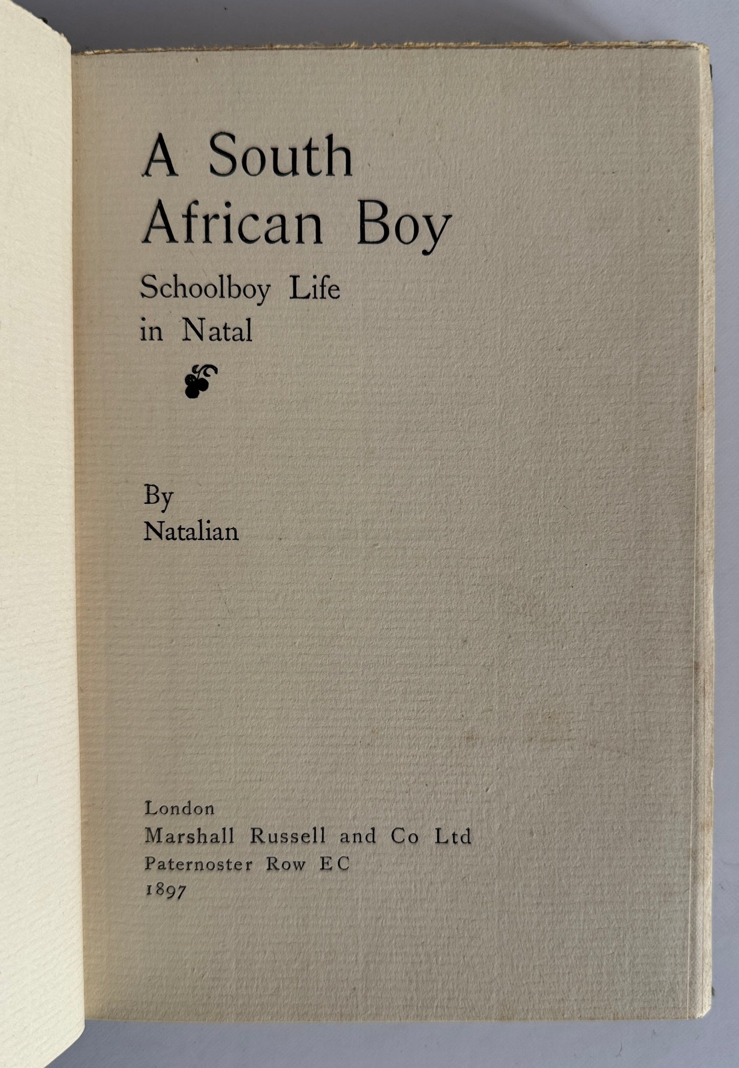 A South African Boy