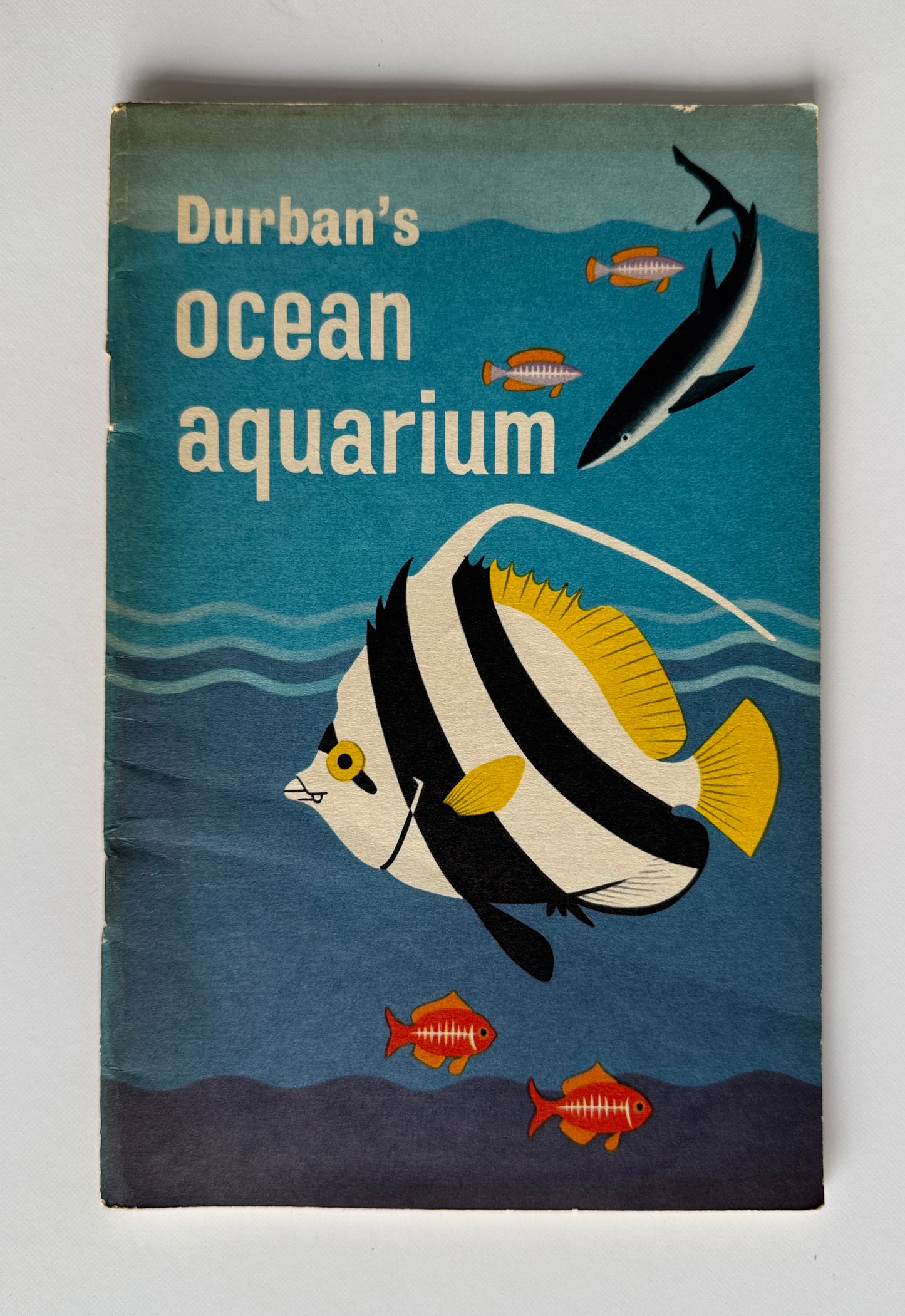Durban's Ocean Aquarium