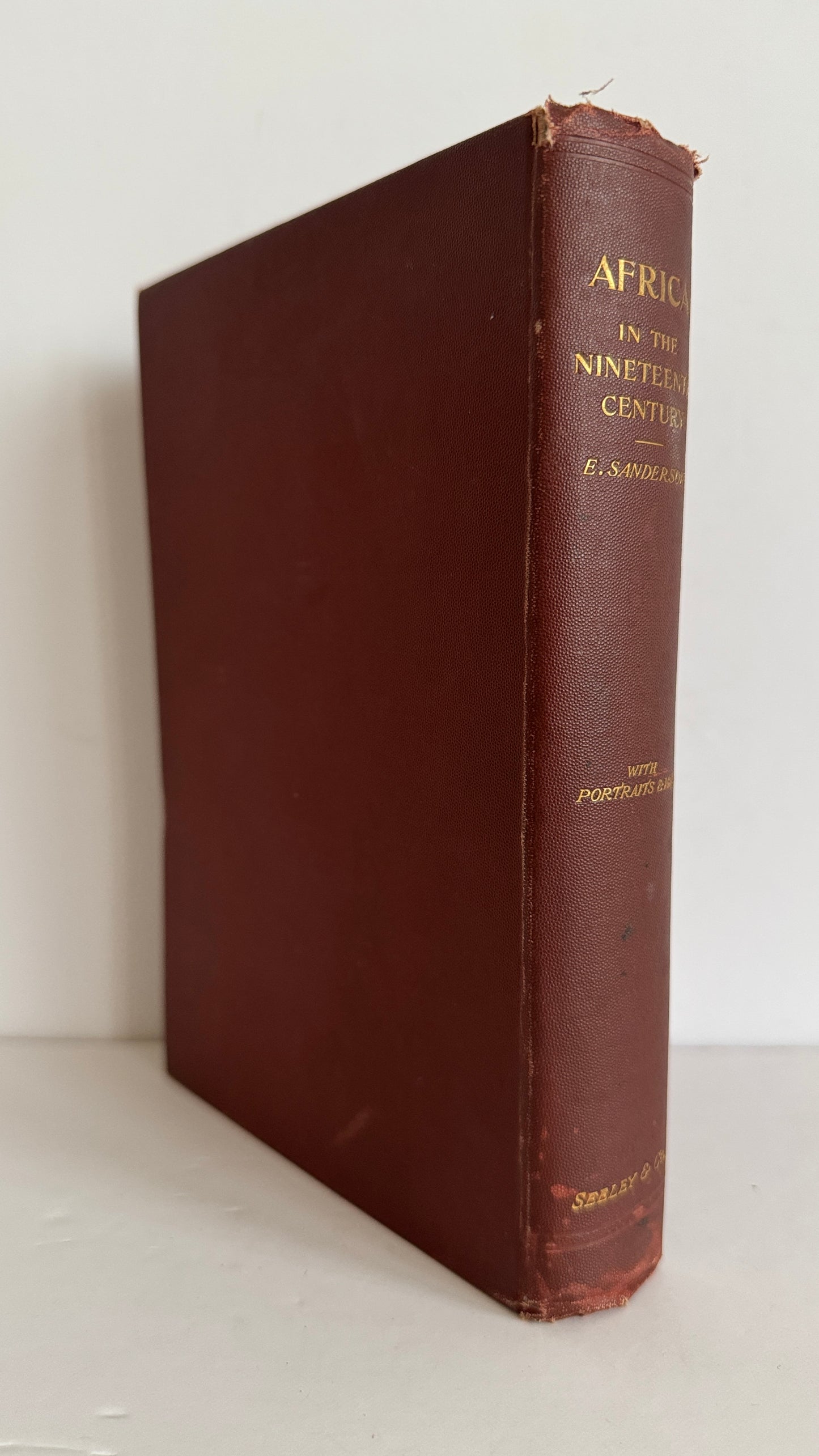 Africa In the Nineteenth Century