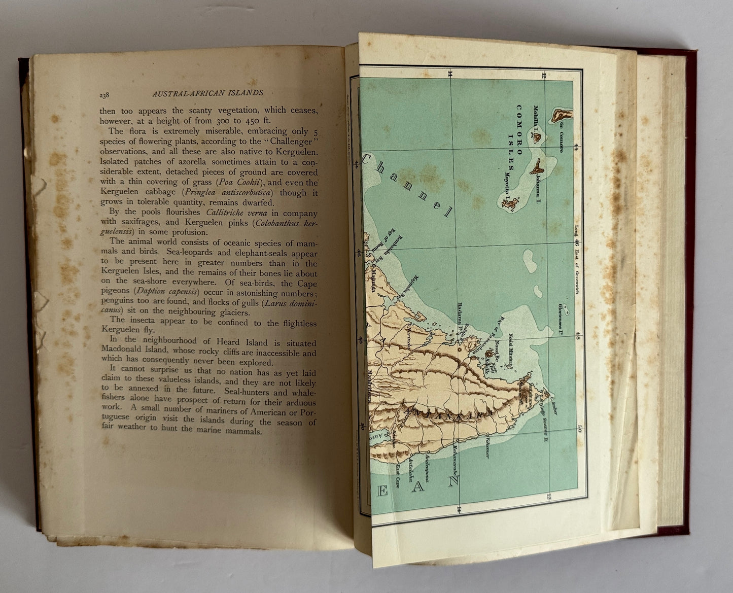 Madagasgar, Mauritius and The Other East-African Islands