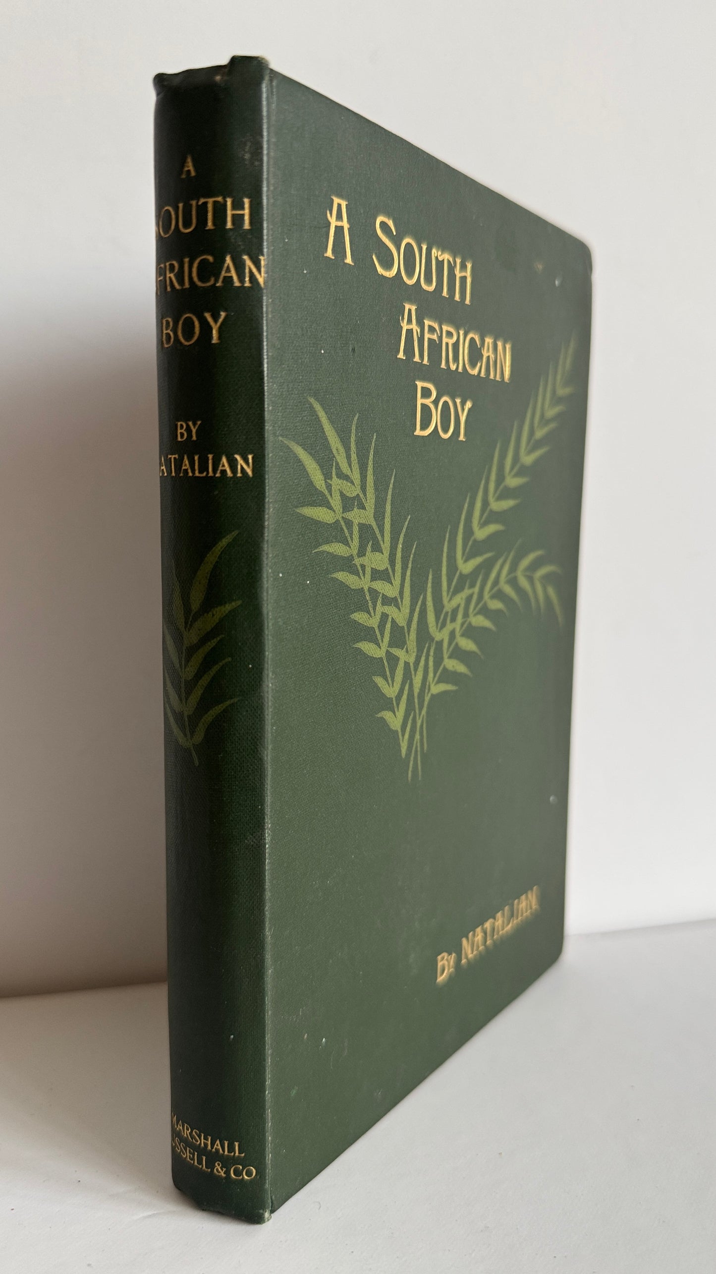 A South African Boy
