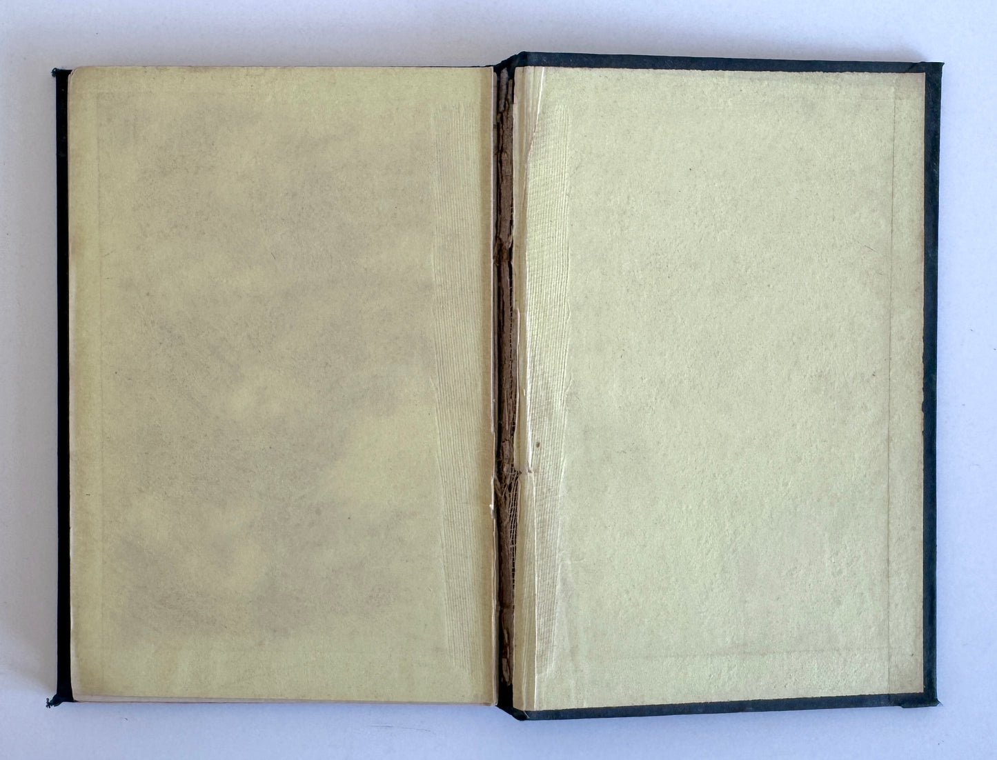 Wilmot's History of the Cape Colony