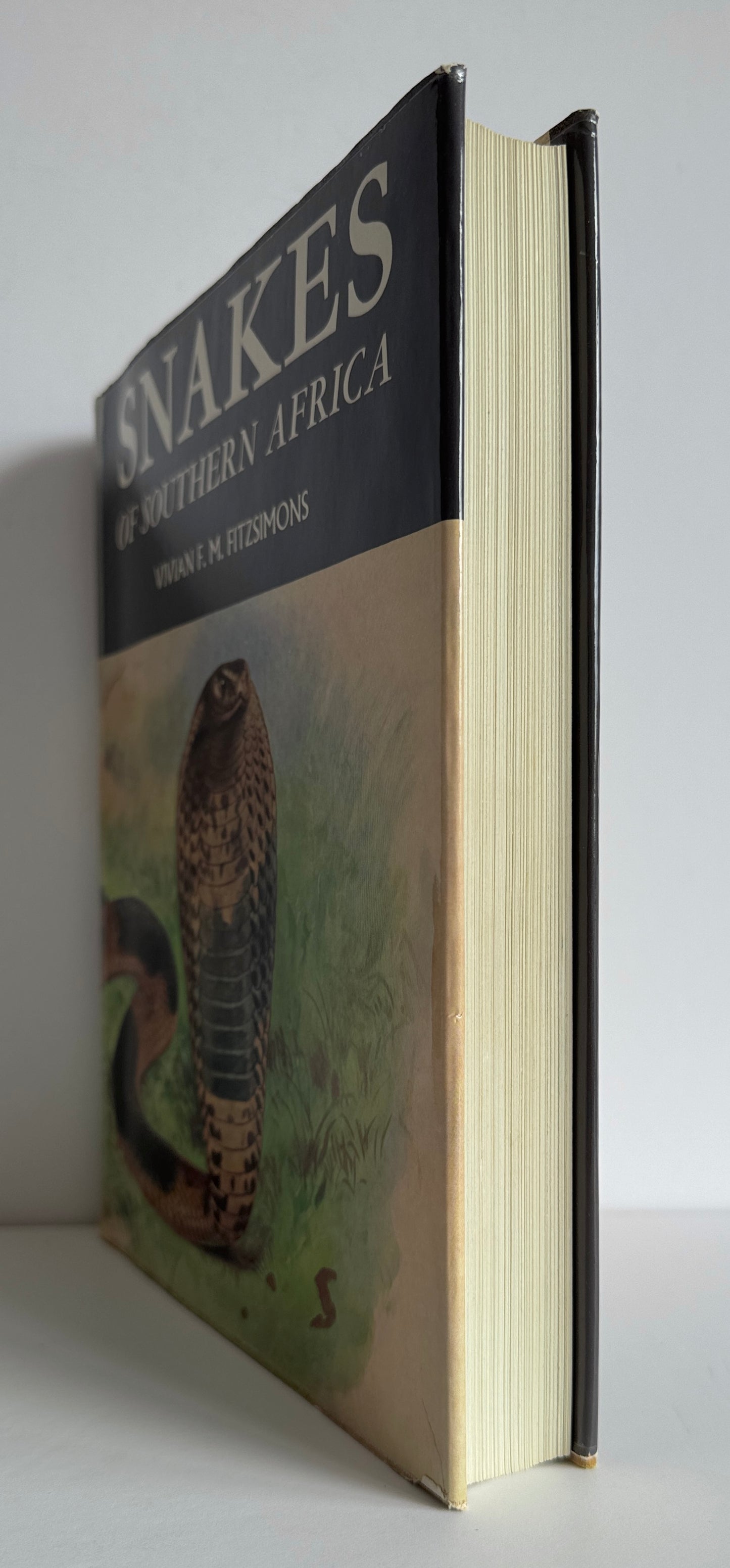 Snakes of Southern Africa