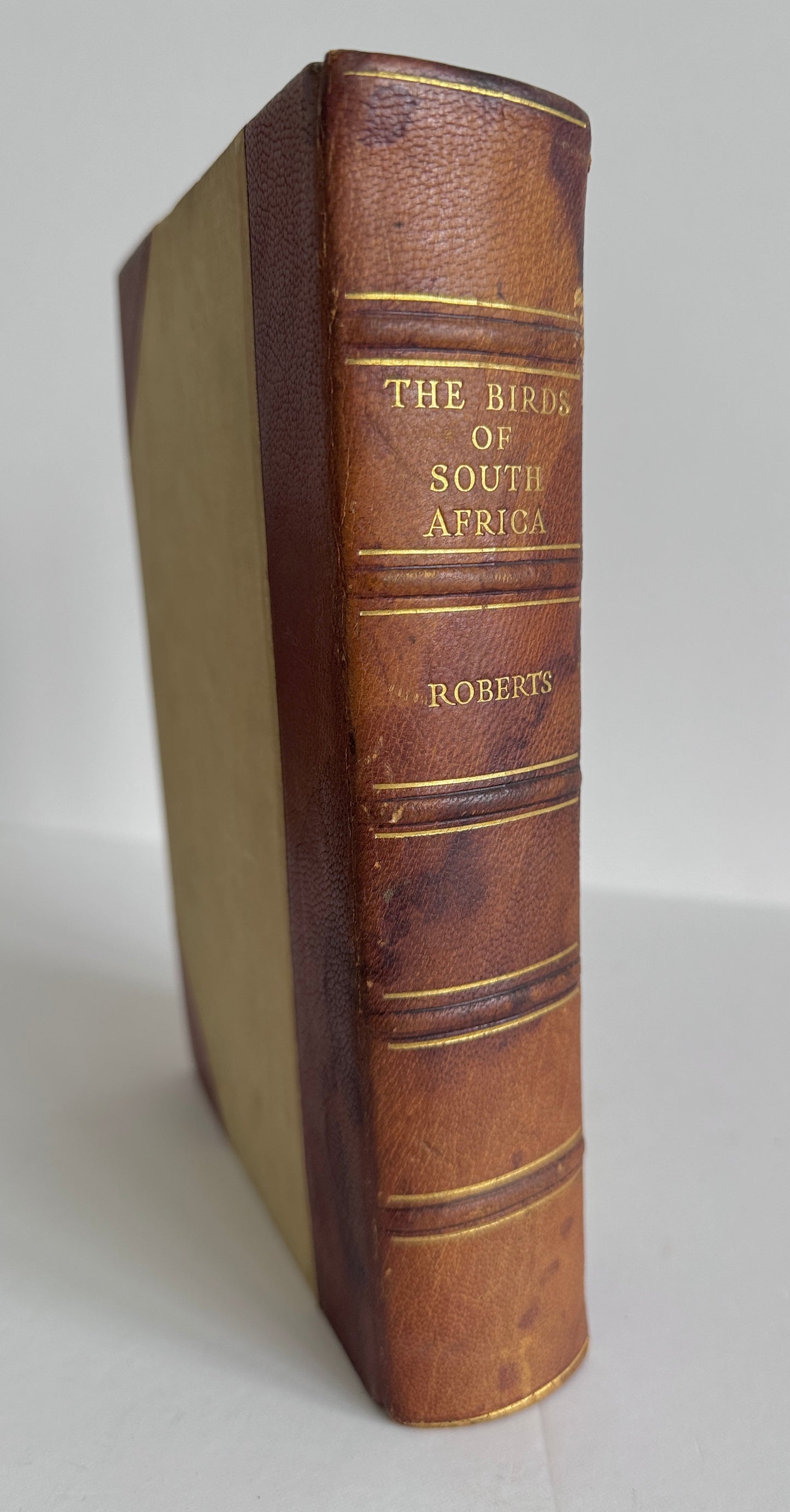 The Birds of South Africa (Subscriber's Edition)