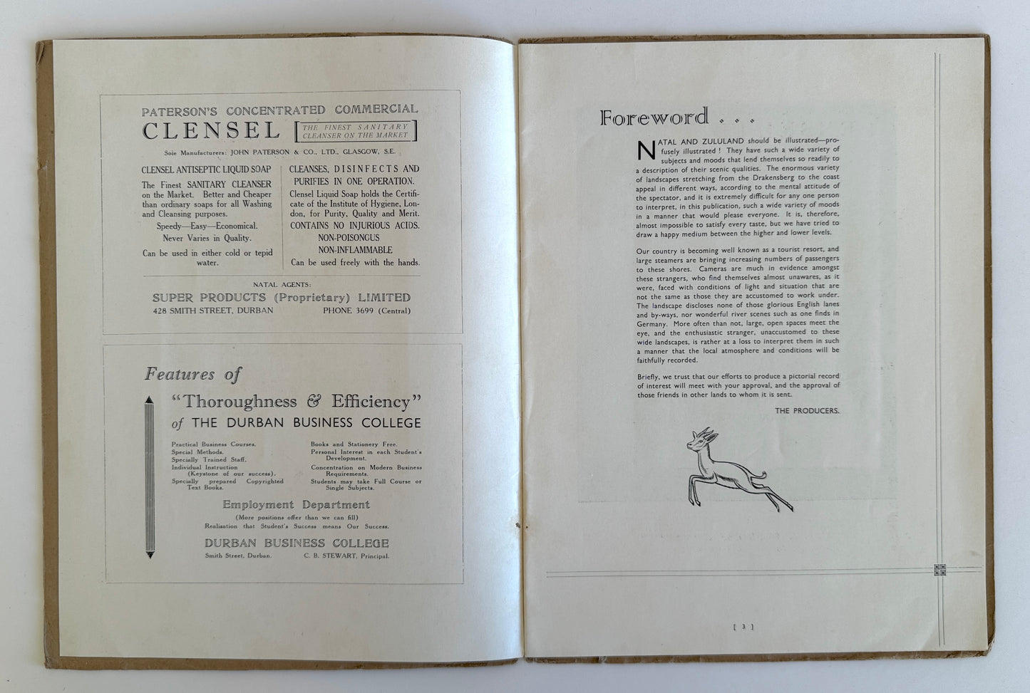 Natal and Zululand Illustrated