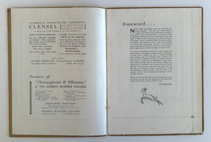 Natal and Zululand Illustrated