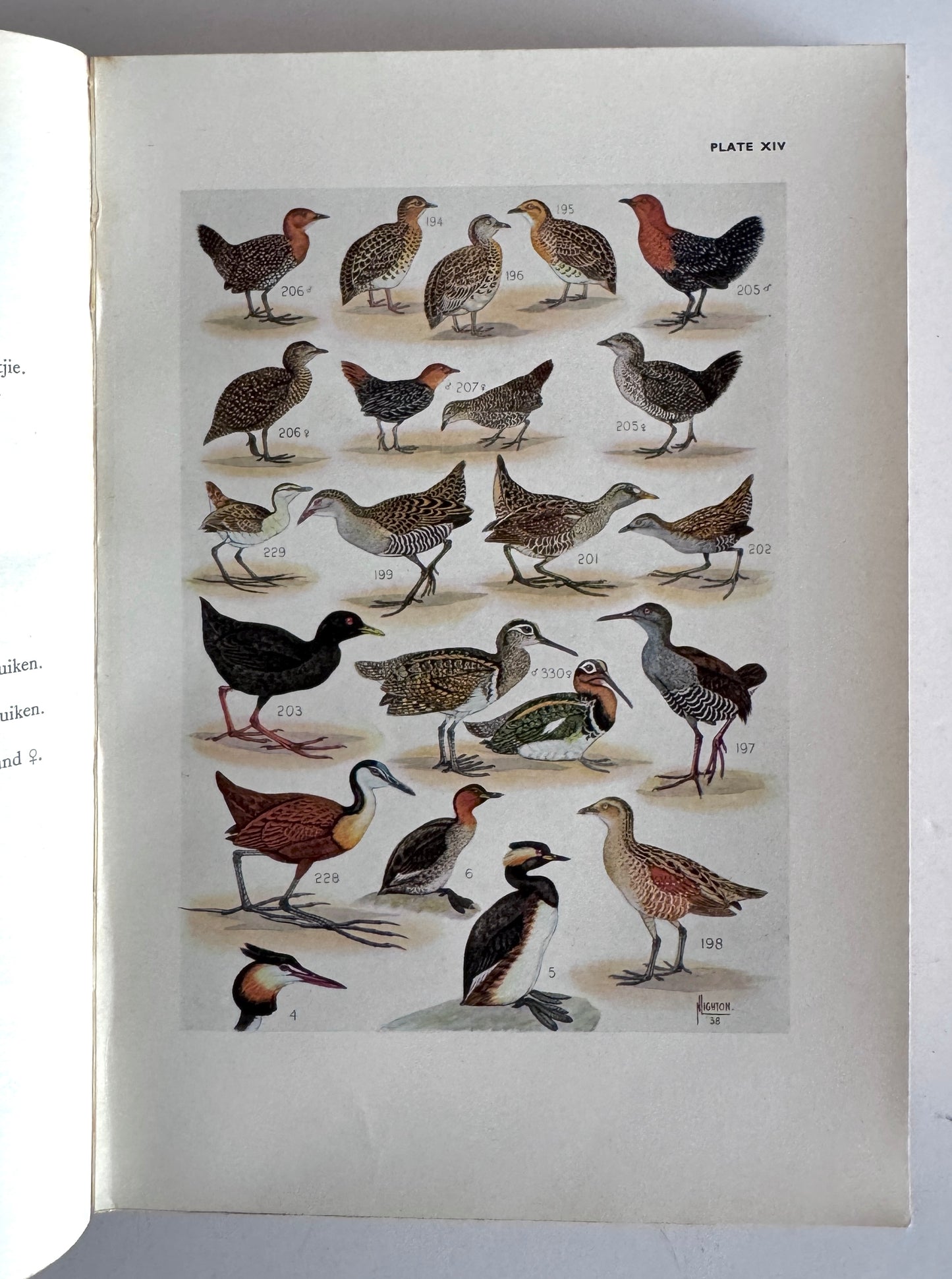 The Birds of South Africa