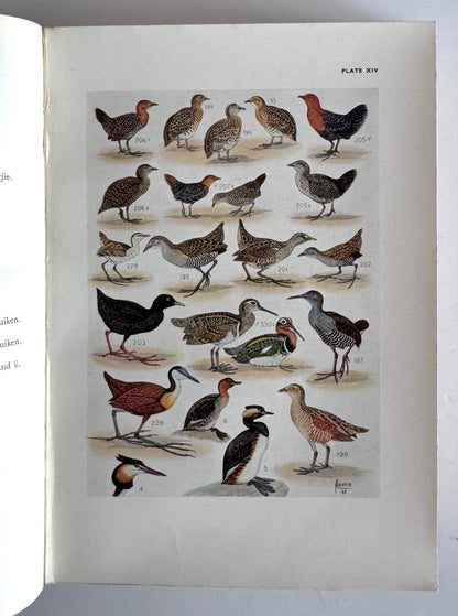 The Birds of South Africa