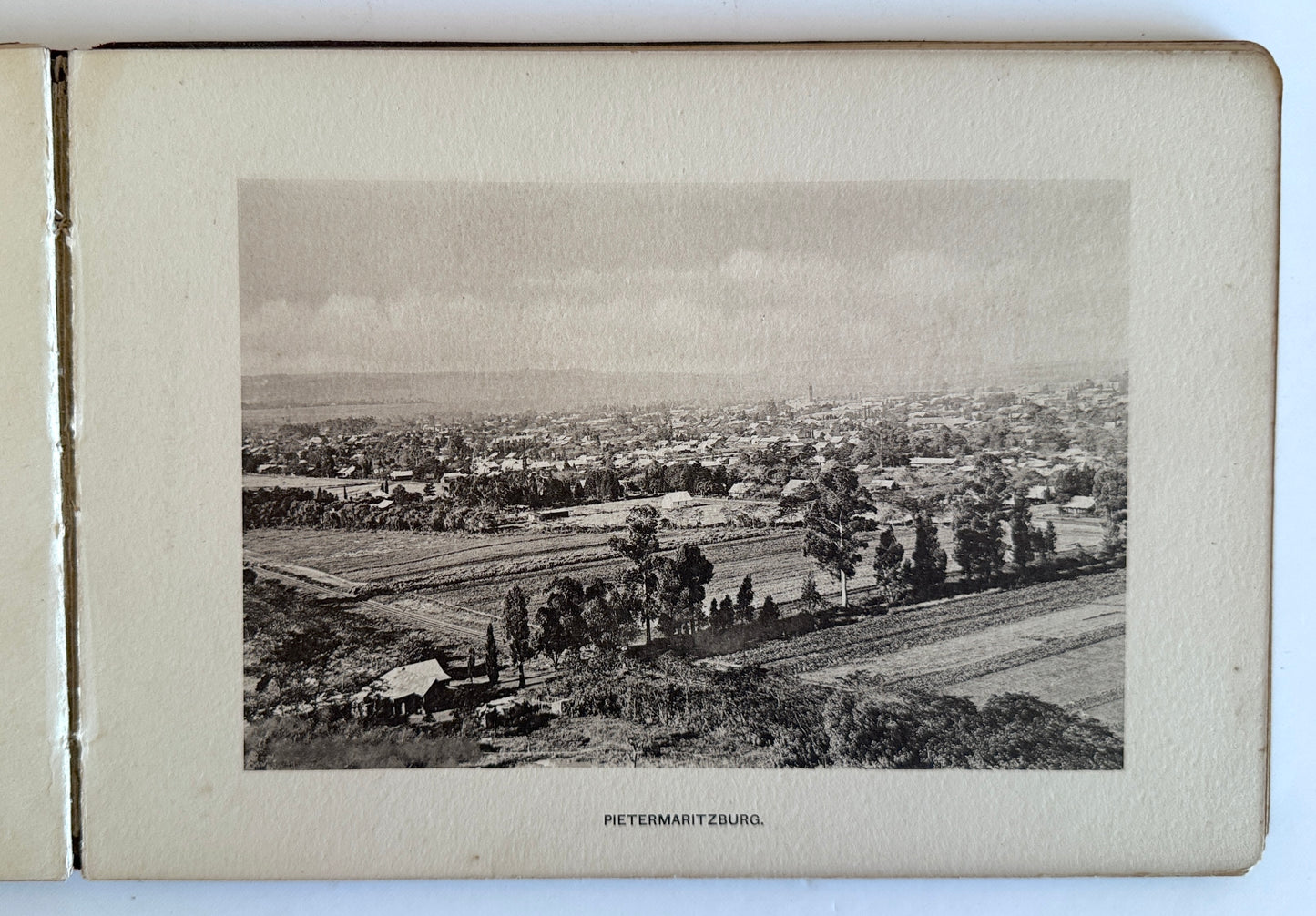A Souvenir of Natal