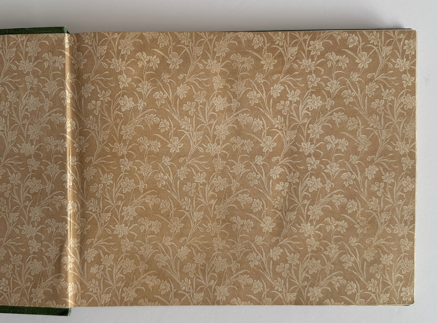 The Anglo Boer War 1899 - 1900