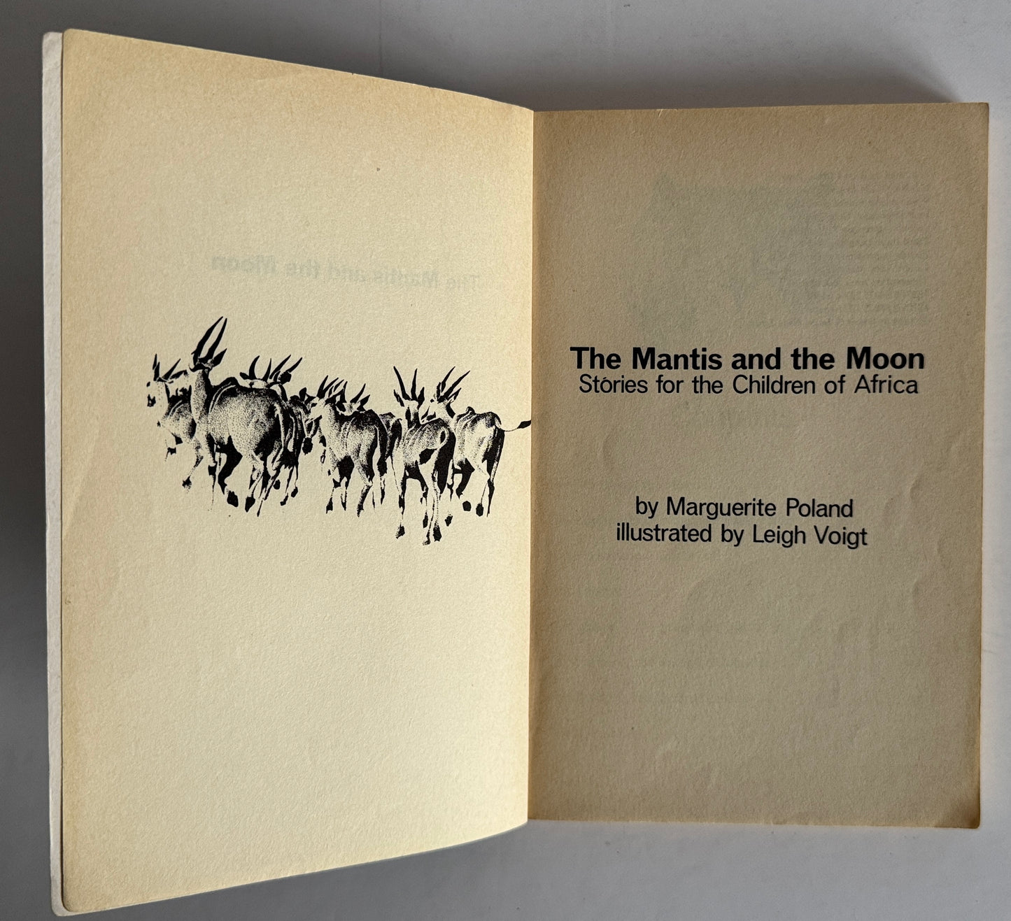 The Mantis and the Moon