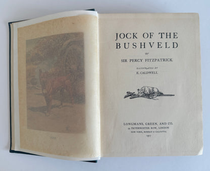 Jock of the Bushveld