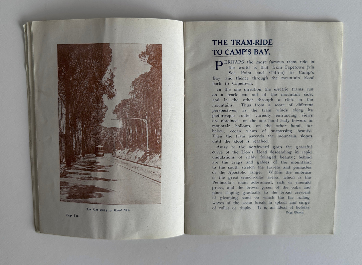 The Call of the Camps Bay Coast