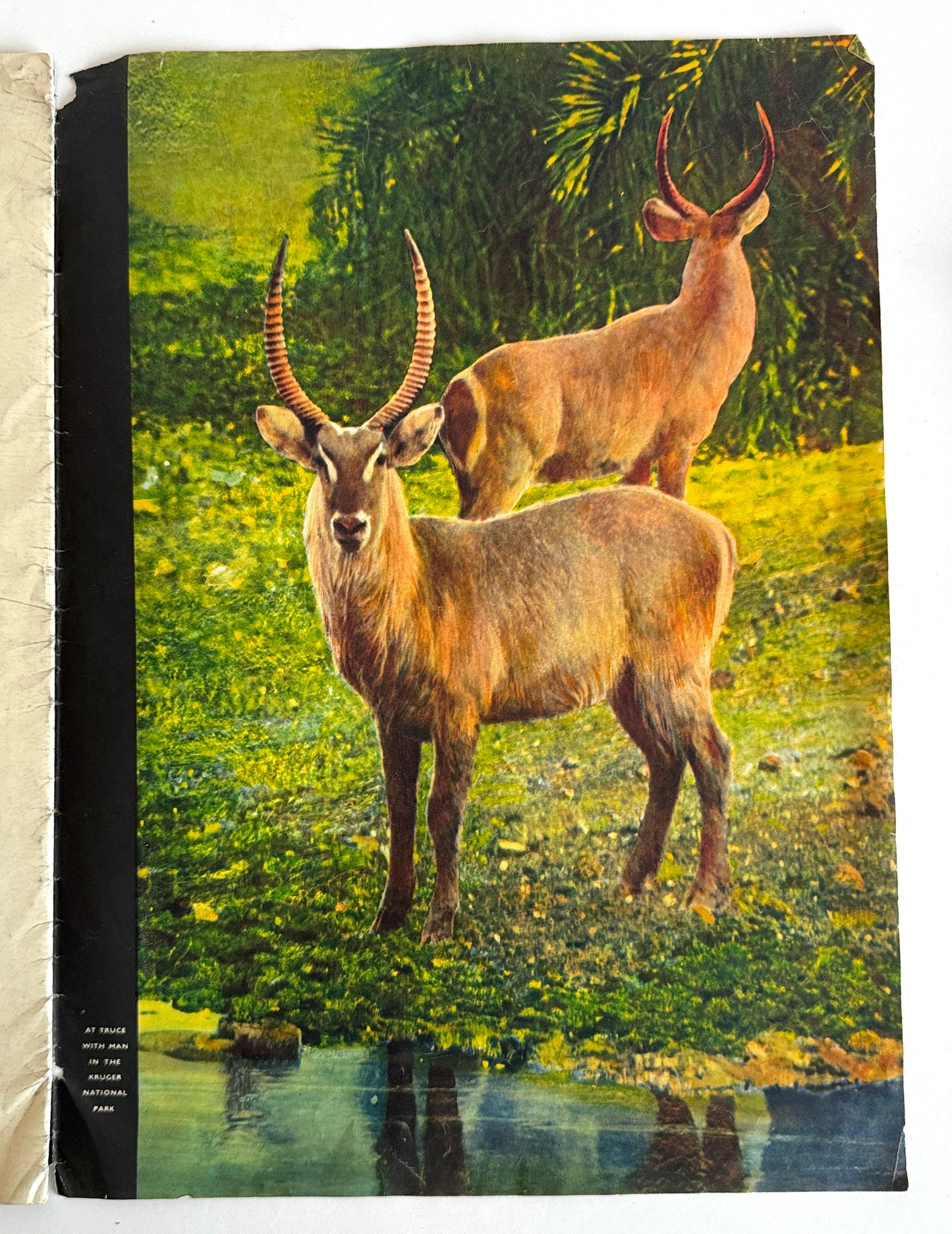 Travel In The Golden Land South Africa