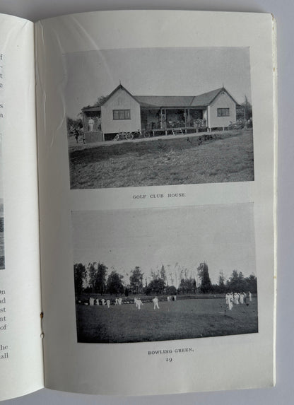 Pietermaritzburg Natal (Official Handbook)