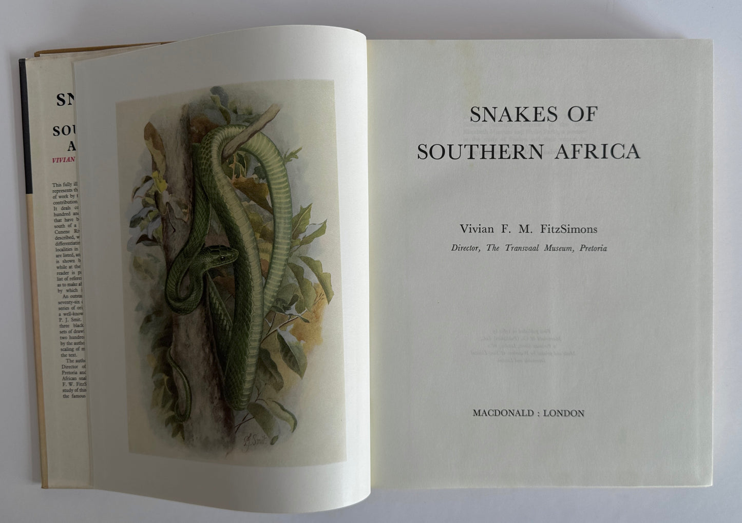 Snakes of Southern Africa