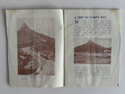 The Call of the Camps Bay Coast