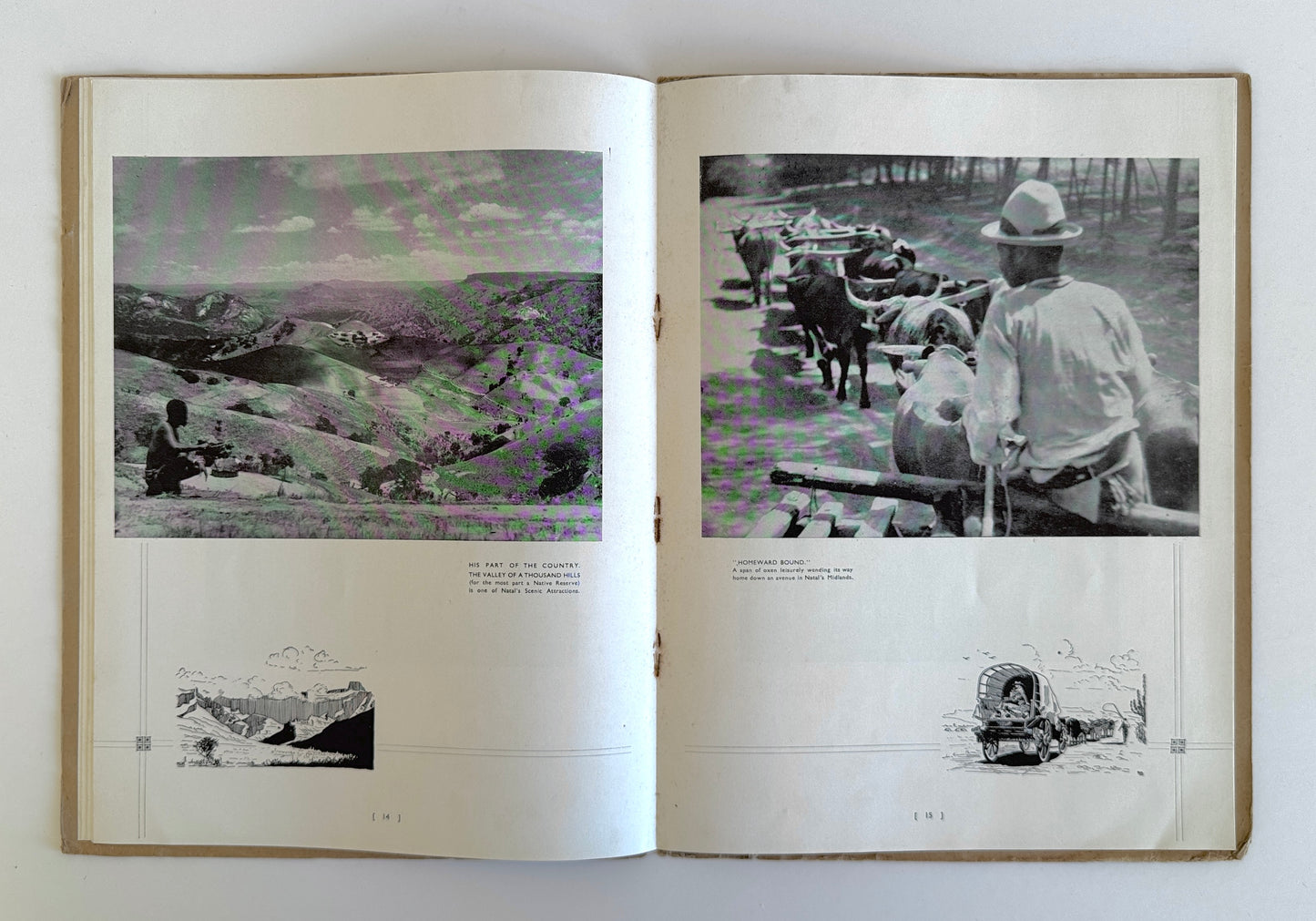 Natal and Zululand Illustrated