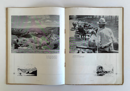 Natal and Zululand Illustrated