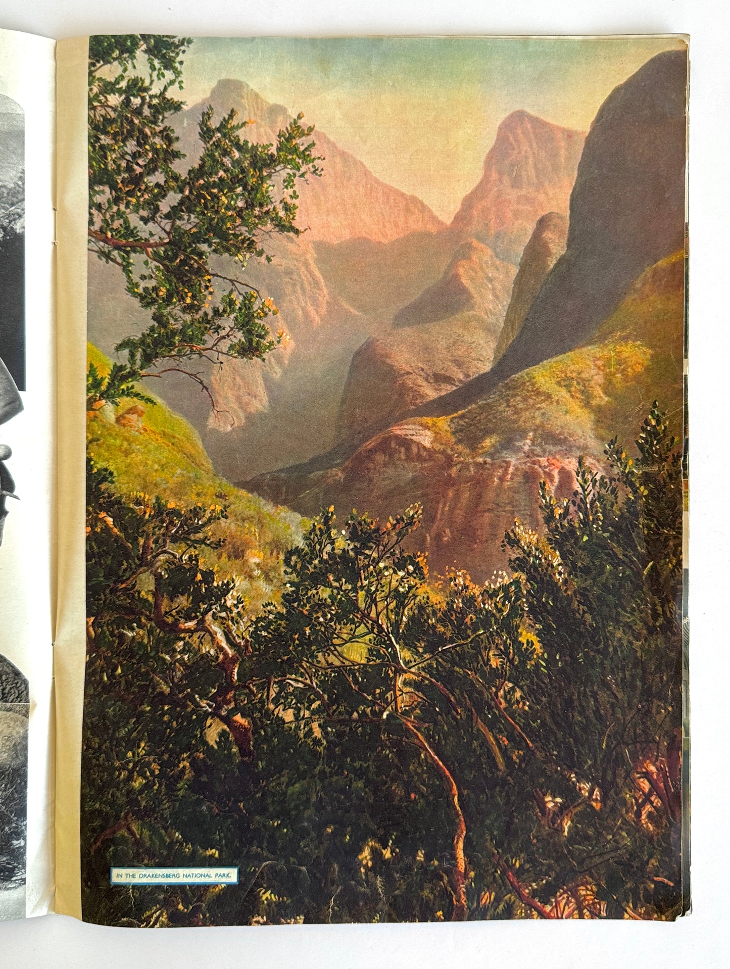 Travel In The Golden Land South Africa