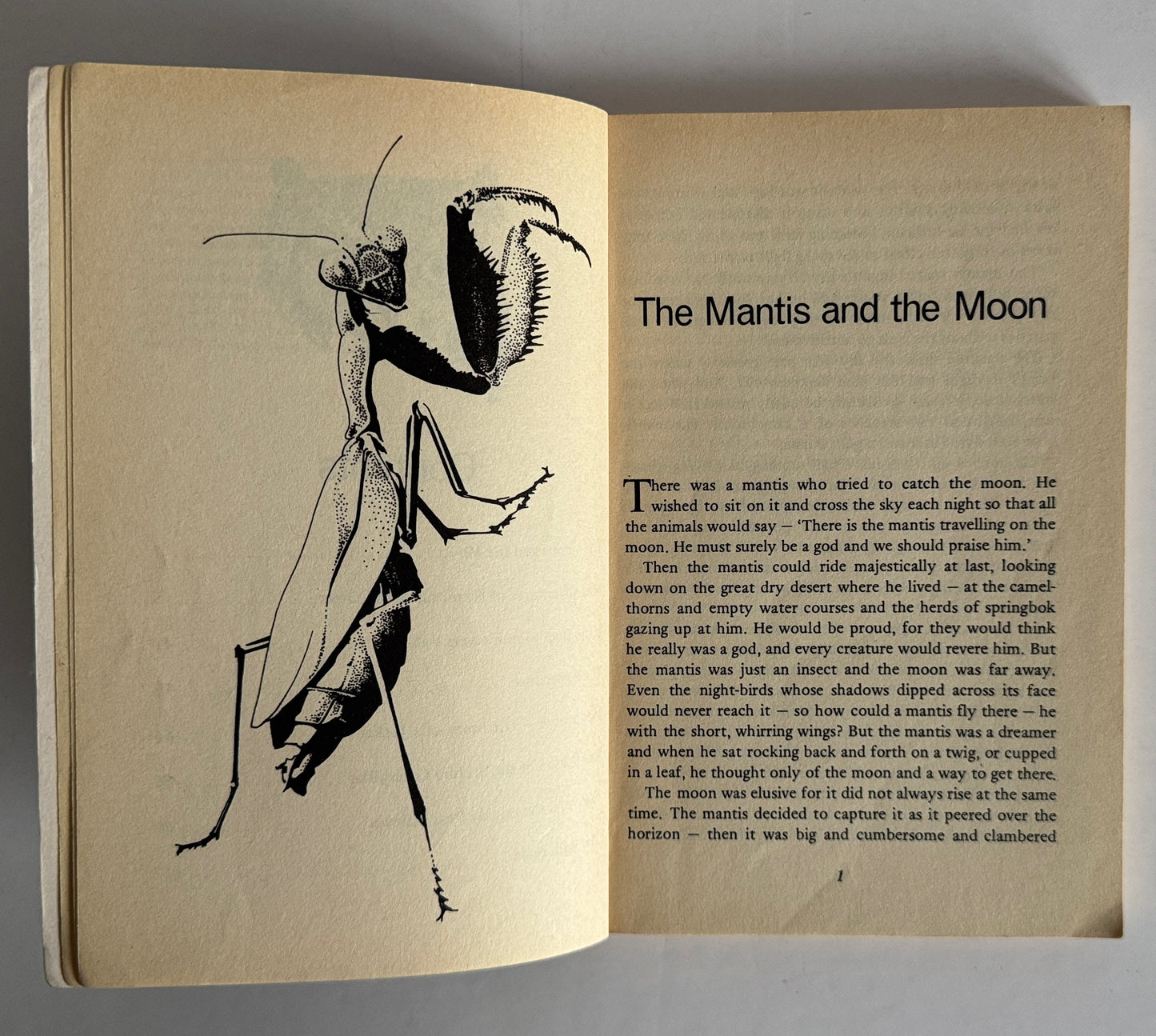 The Mantis and the Moon