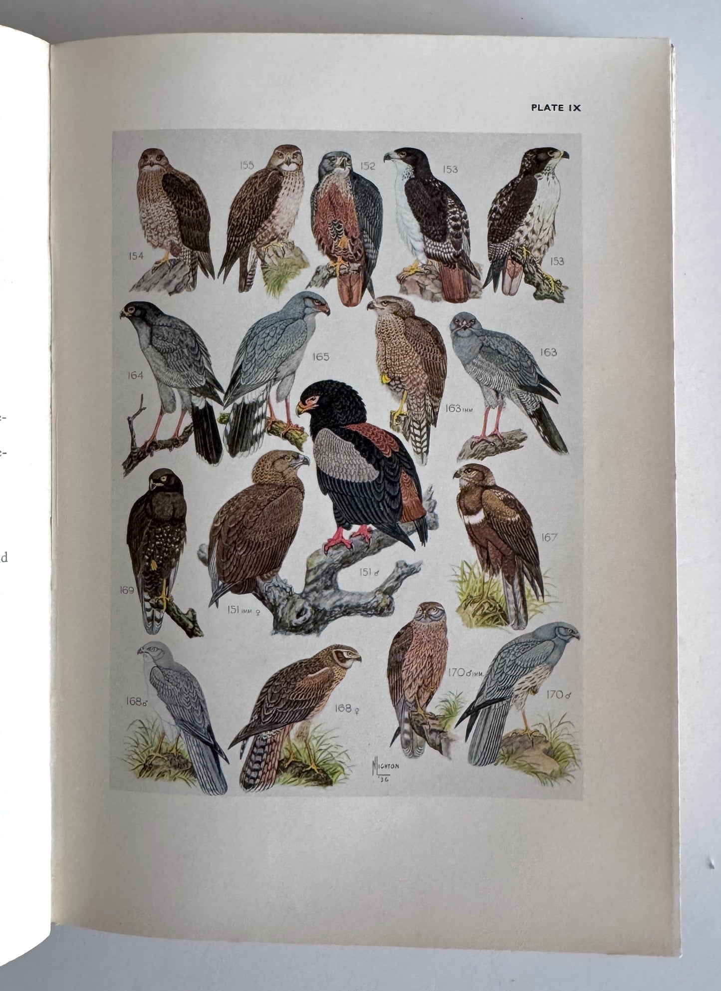 The Birds of South Africa