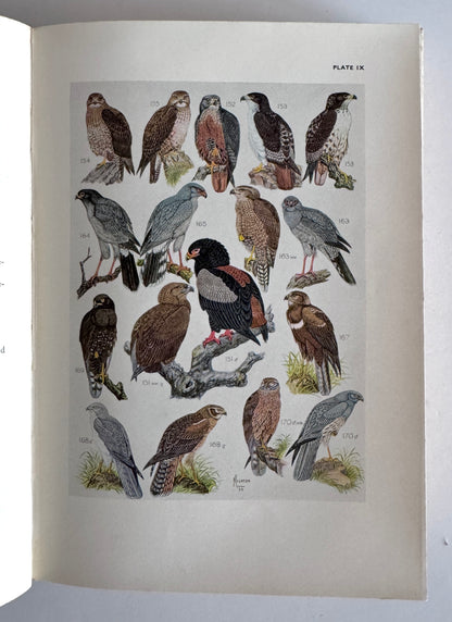 The Birds of South Africa