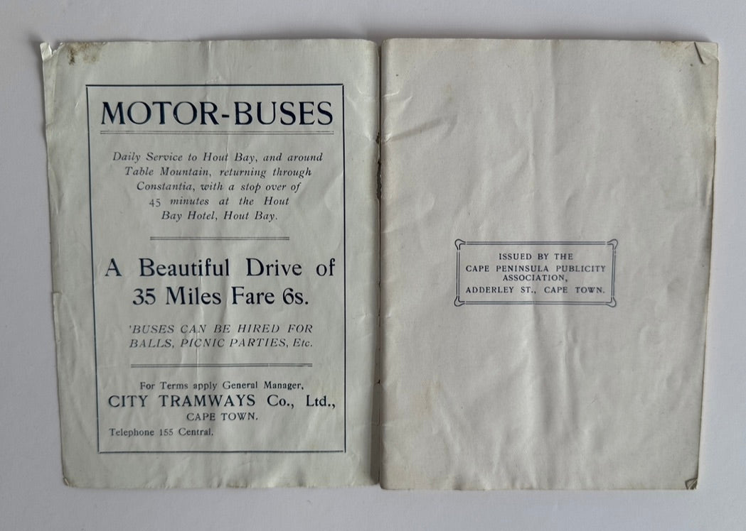 The Call of the Camps Bay Coast