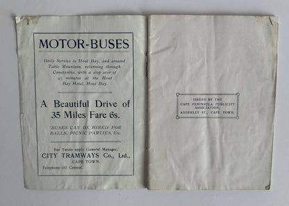 The Call of the Camps Bay Coast